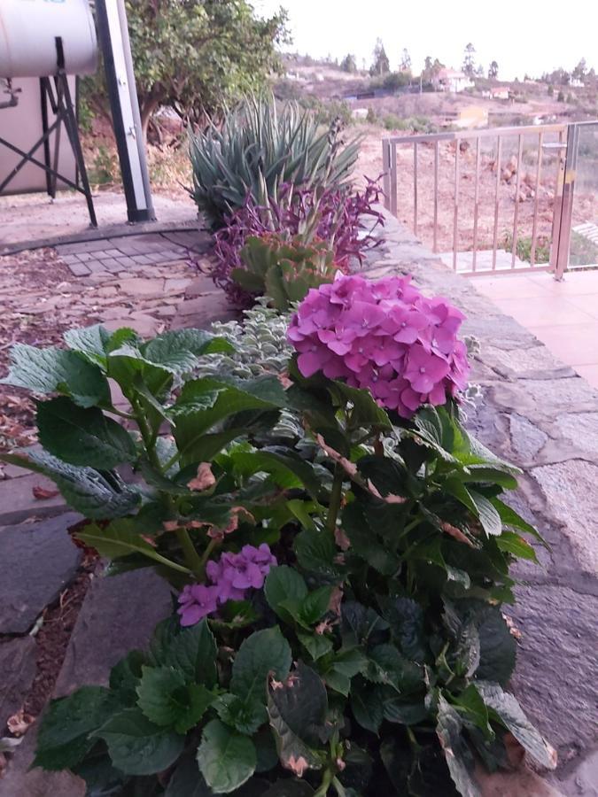 הוילה Puntagorda Casa El Peral מראה חיצוני תמונה