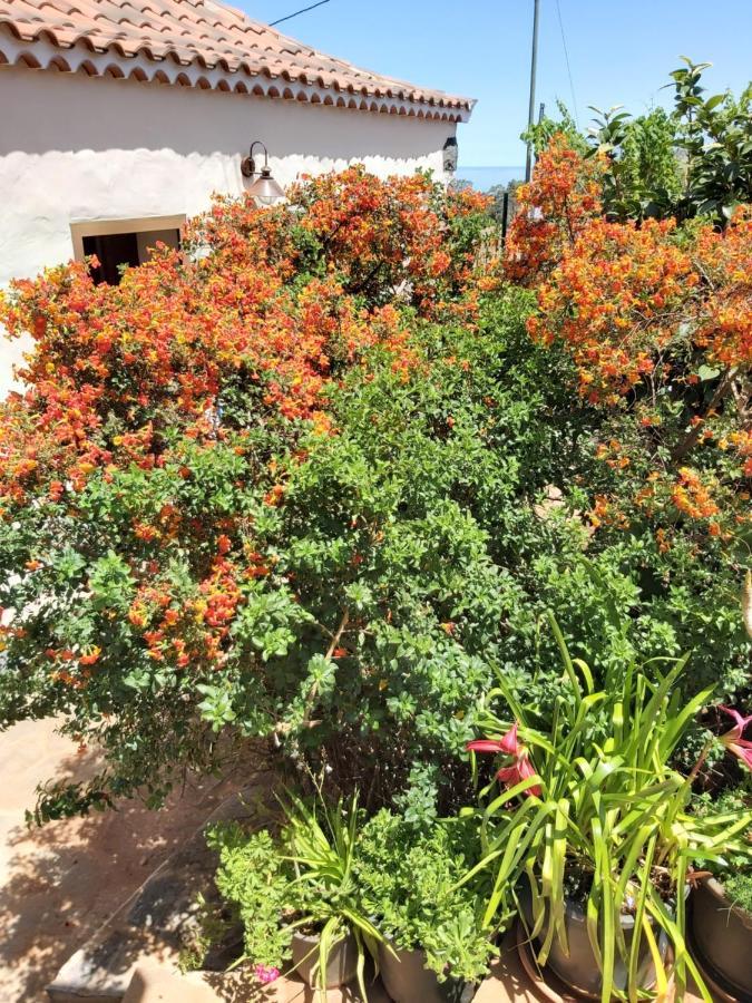 הוילה Puntagorda Casa El Peral מראה חיצוני תמונה
